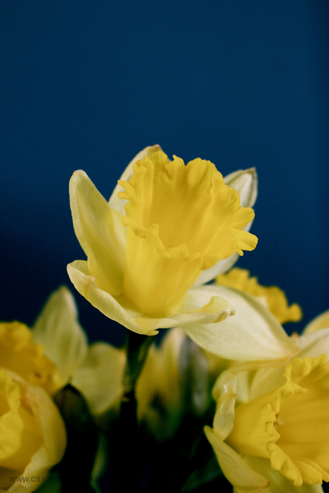 The Cast Iron Bath Company - spring bathroom